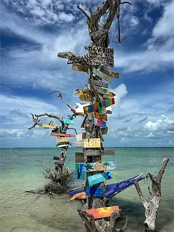 Signs on mangroves at Picnic Island